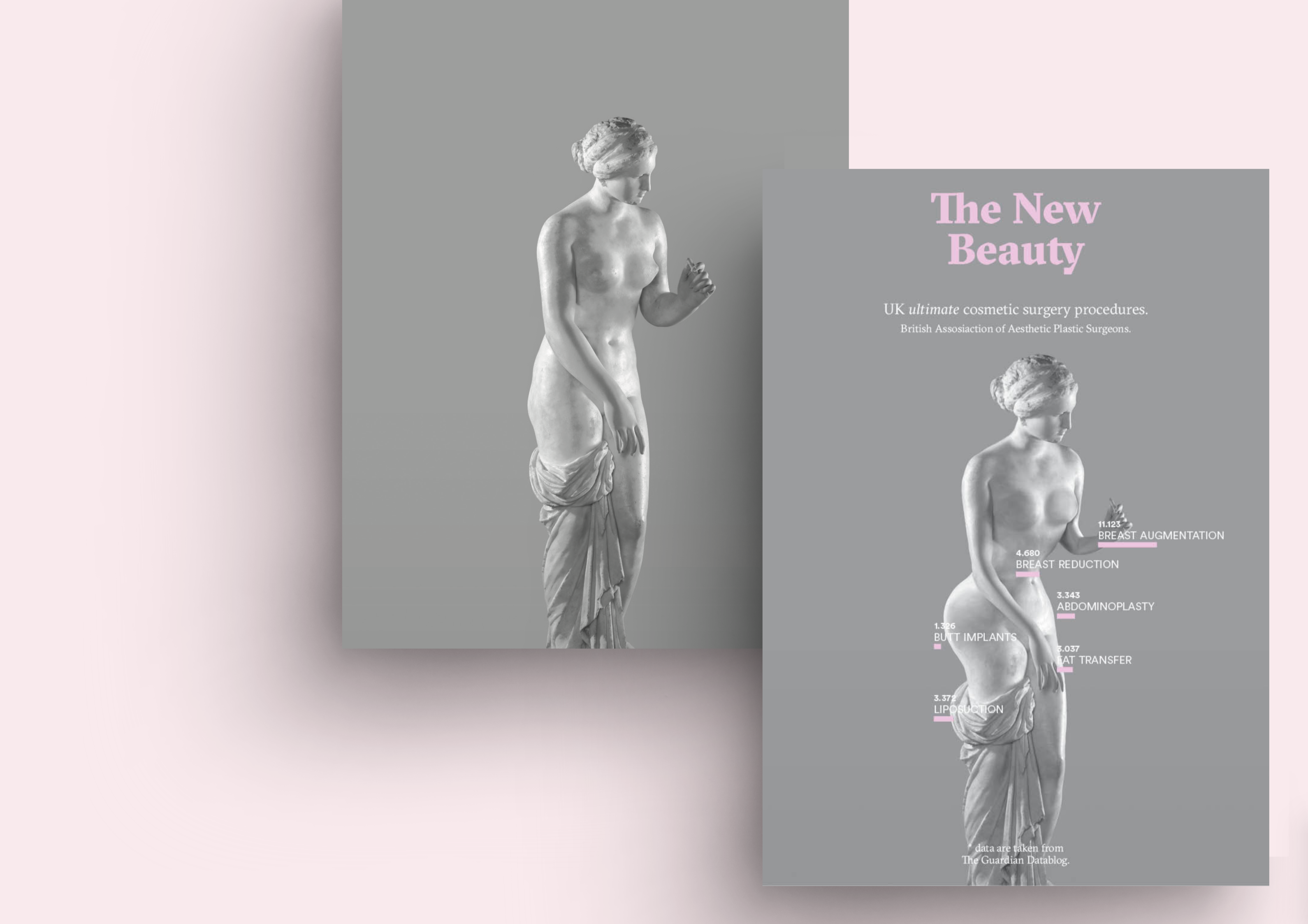 Complementary image of the project The New Beauty